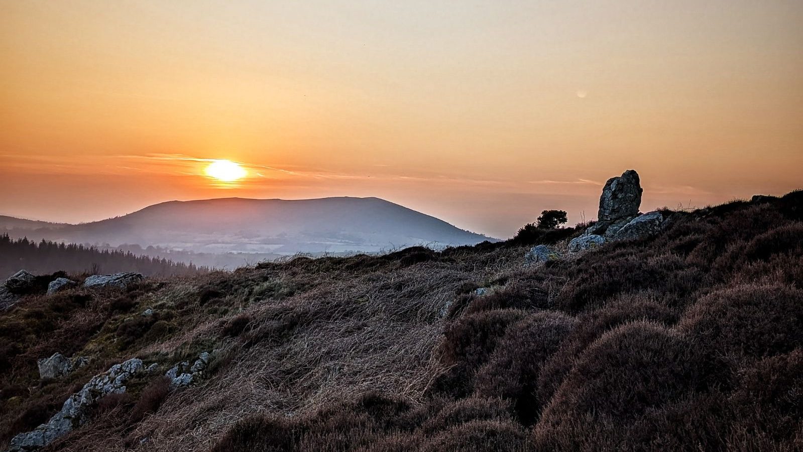 1000048789871015773907414634