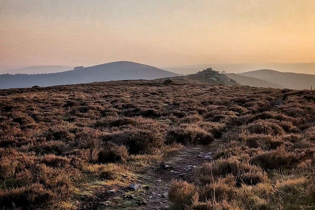 Trialling trail running