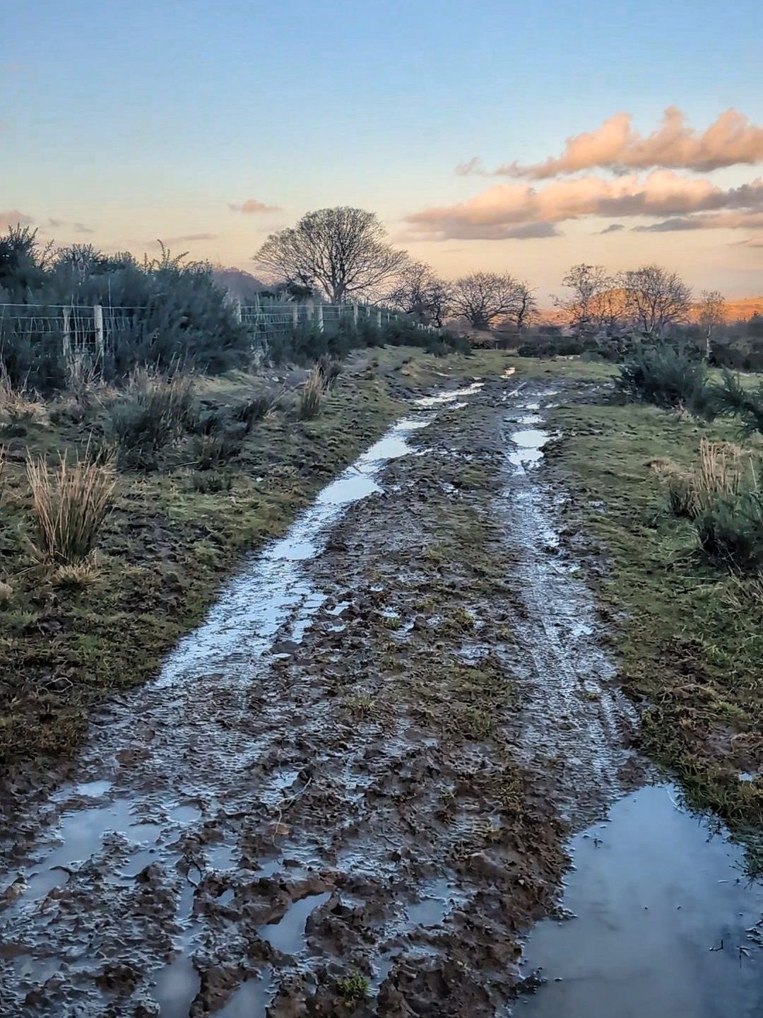 10000496464013735049060243781