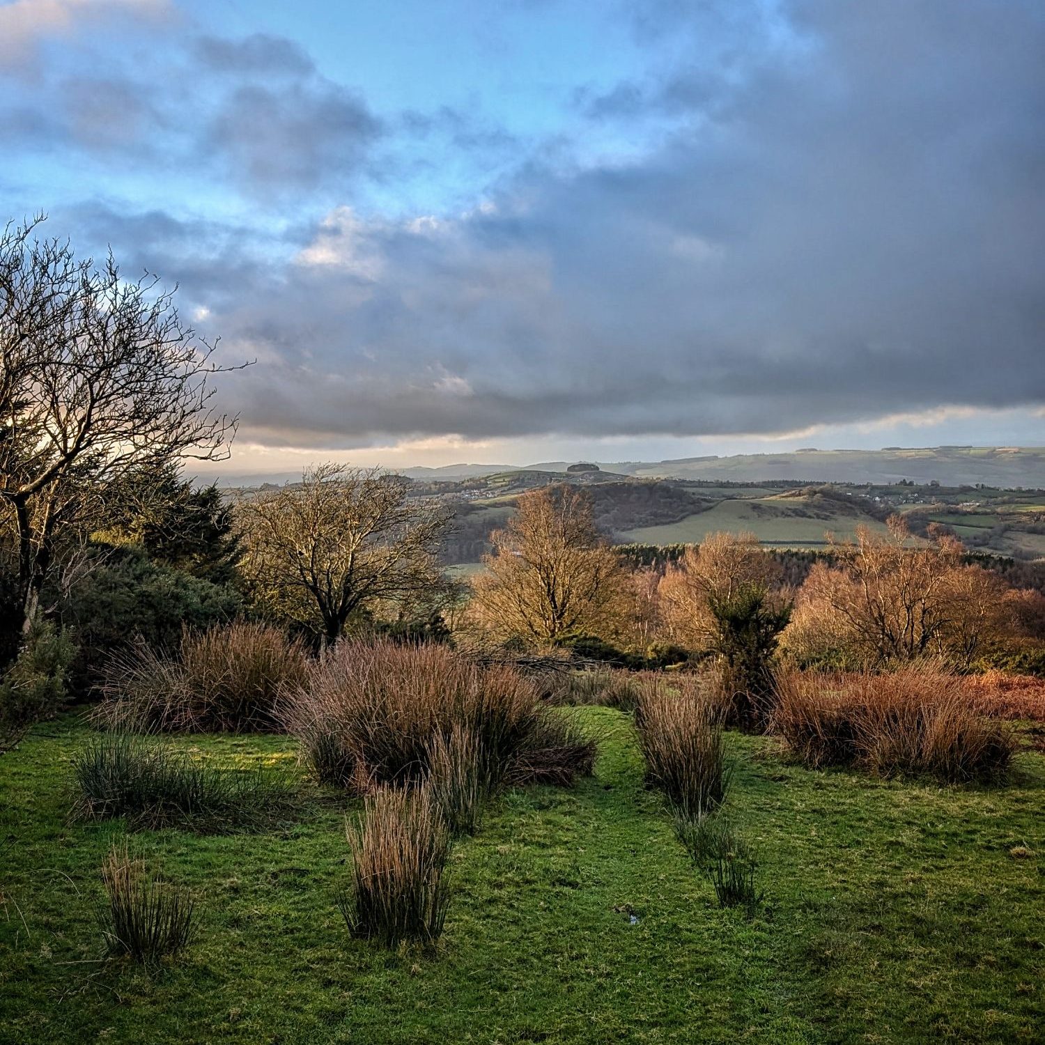 pxl_20250101_1518385656364834112306934612