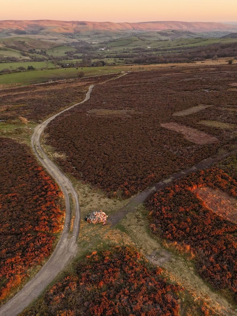 10000501171912553325426786425